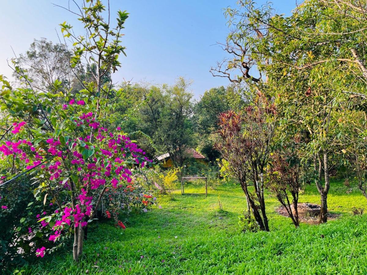 Coorg Daffodil Guesthouse Madikeri Dış mekan fotoğraf