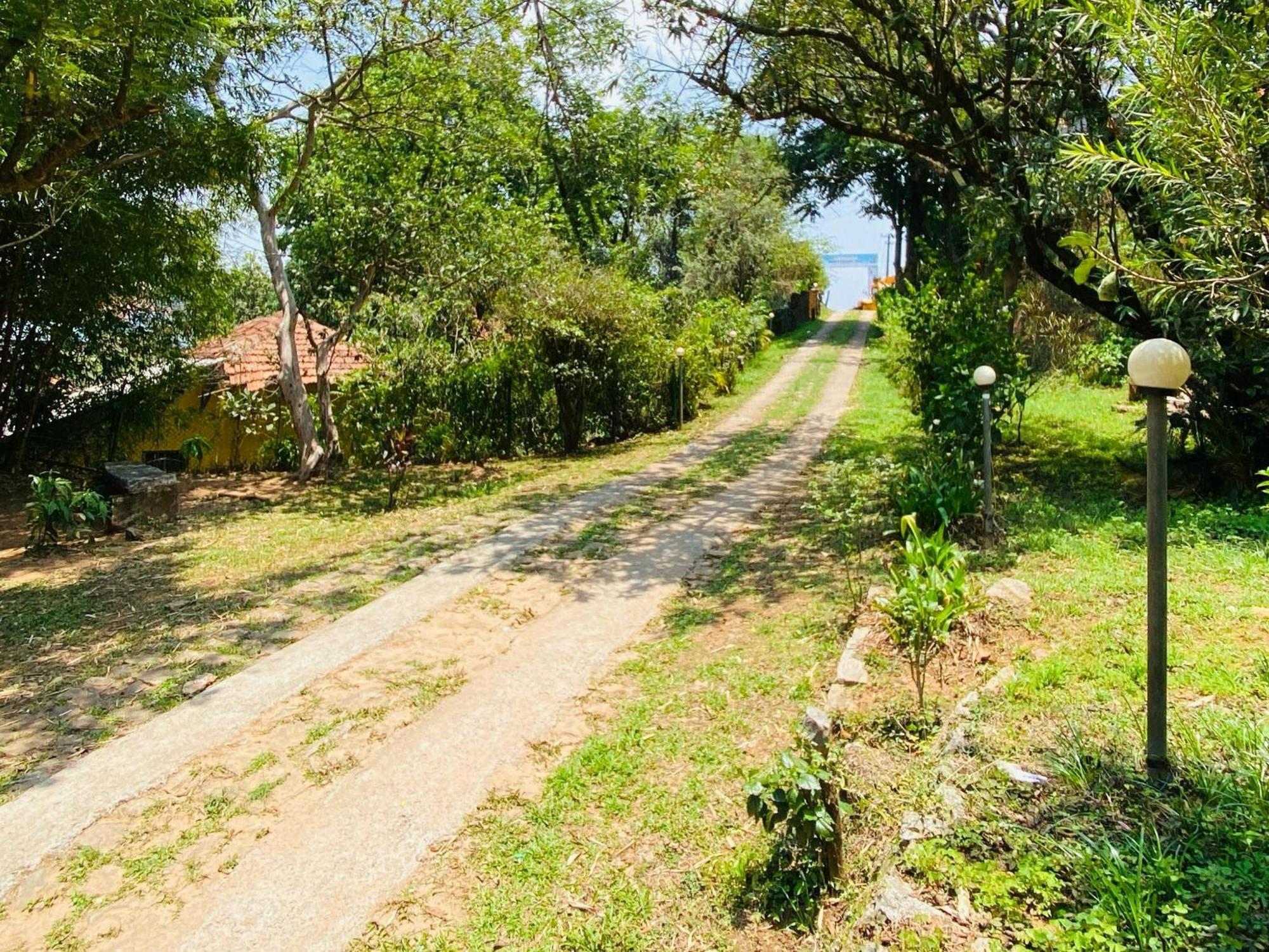 Coorg Daffodil Guesthouse Madikeri Dış mekan fotoğraf